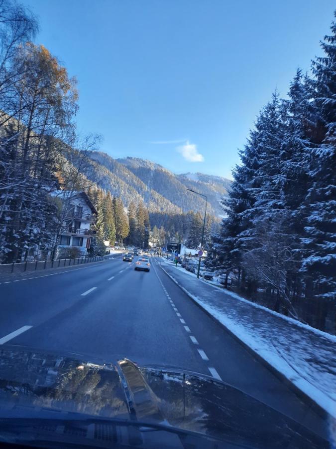 Villa Quad Poiana Brasov Eksteriør billede