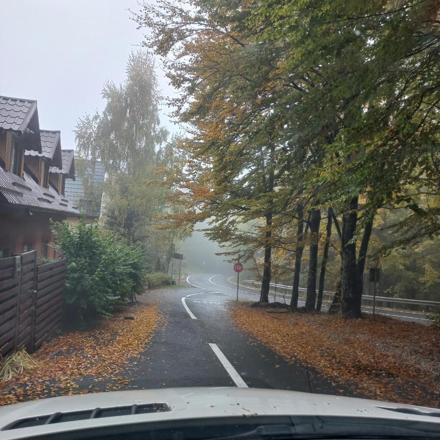 Villa Quad Poiana Brasov Eksteriør billede