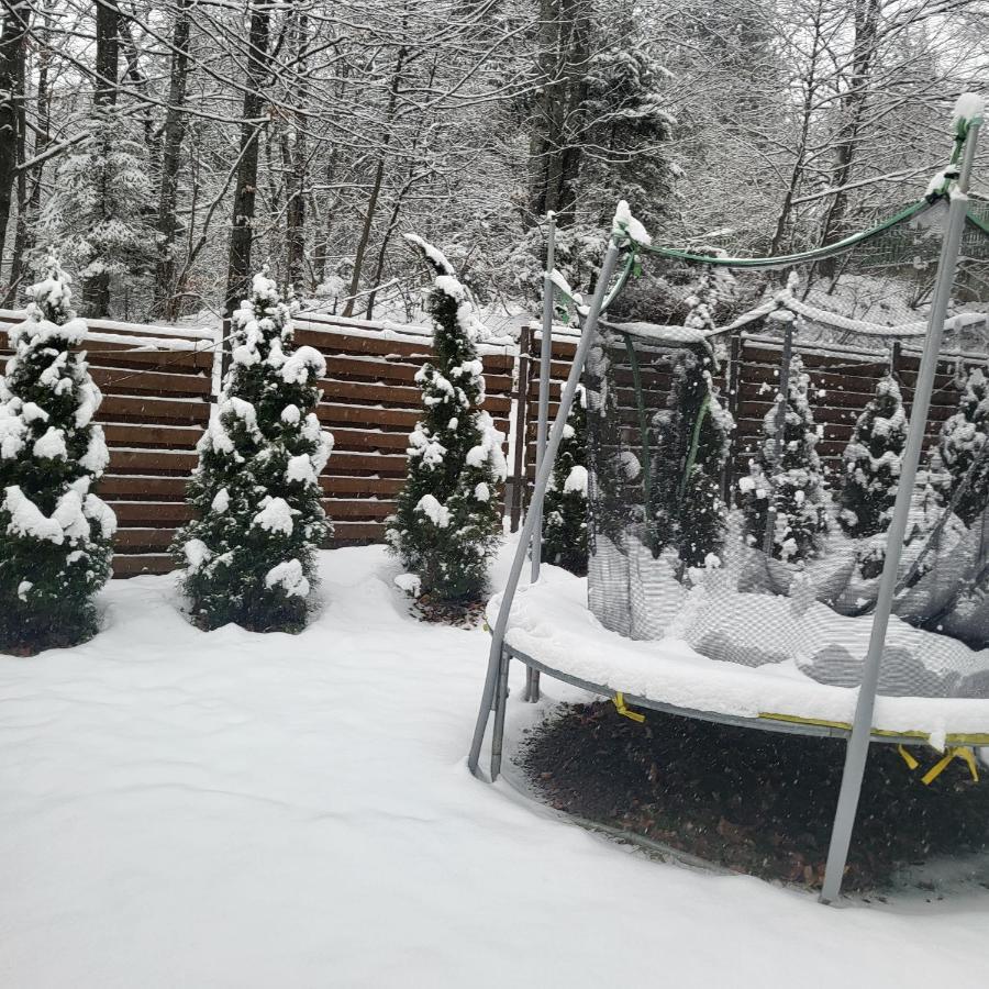 Villa Quad Poiana Brasov Eksteriør billede