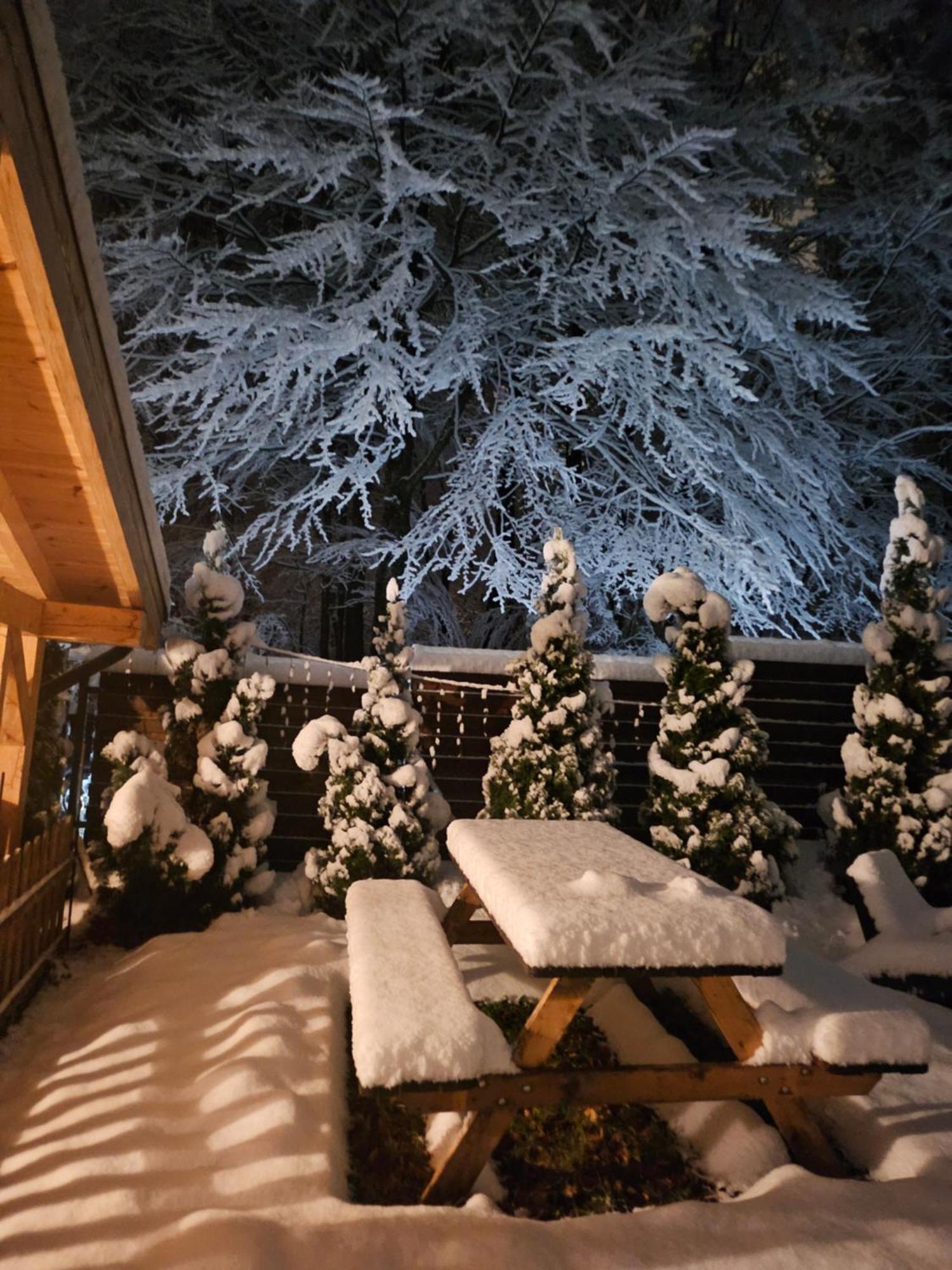 Villa Quad Poiana Brasov Eksteriør billede