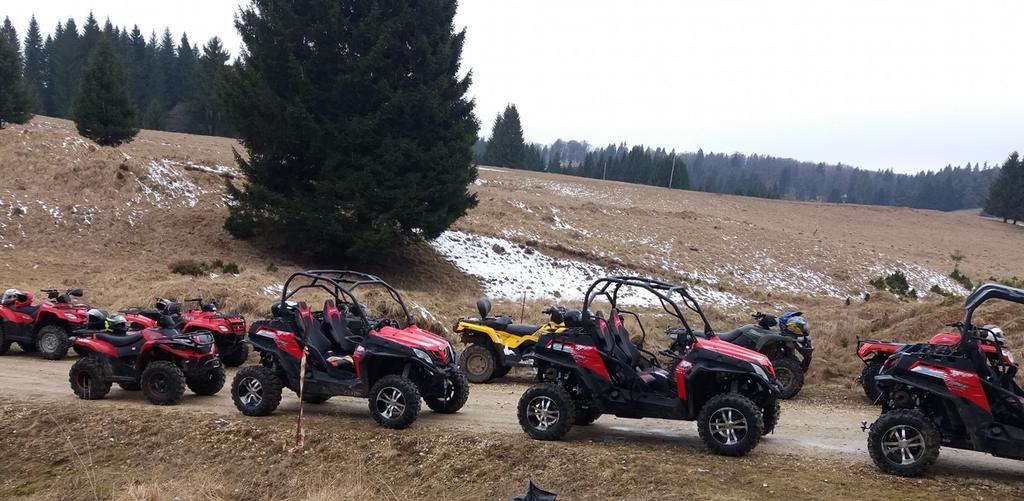 Villa Quad Poiana Brasov Eksteriør billede